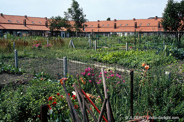 Coron et jardins